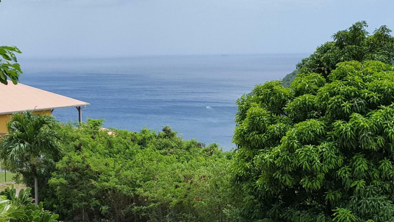 Apartmán La Yole Des Caraibes Les Anses-d'Arlets Exteriér fotografie