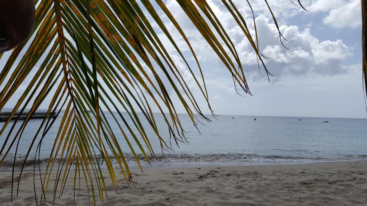 Apartmán La Yole Des Caraibes Les Anses-d'Arlets Exteriér fotografie